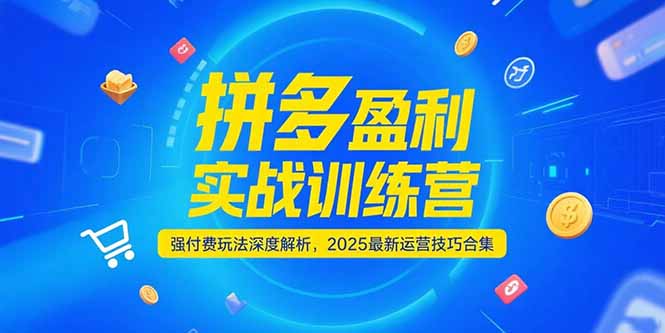拼多多盈利实战训练营，强付费玩法深度解析，2025运营技巧合集-更新6月-梵摄网创