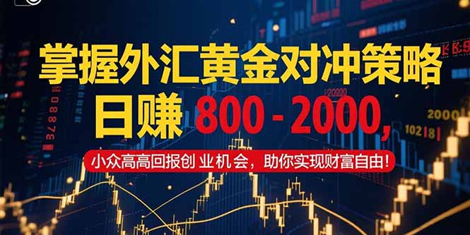 掌握外汇黄金对冲策略，日赚 800 – 2000，小众高回报创业机会，助你实…-梵摄网创