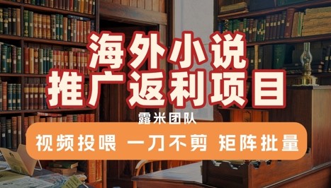 海外小说推广返利项目，视频投喂， 一刀不剪，矩阵批量-余宽网创