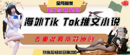 海外tiktok小说推文暴力项目，高停留率，高转化率，上手后一天搞顿饭钱不是问题-余宽网创