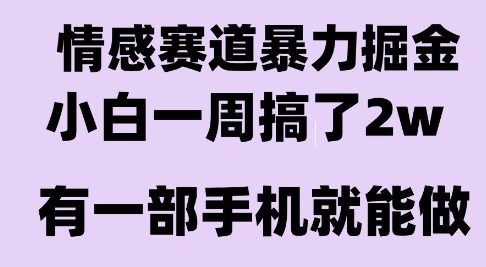 情感暴力掘金项目，新人操作一周挣了2W，长期稳定小白可做【揭秘】-余宽网创