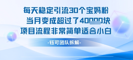 每天稳定引流30个人 当月变成超过了4个W项目流程非常简单适合小白-余宽网创