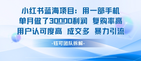 小红书蓝海项目，一部手机单月做了3W利润，小白也能月入过1W用户认可度高成交多-余宽网创