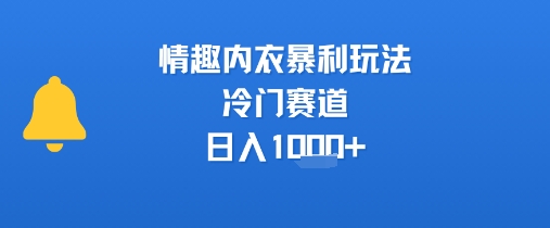 情趣内衣暴利玩法，冷门赛道，日入1k+-余宽网创