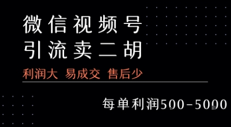 视频号卖二胡教程，利润大 易成交 售后少，一单利润5张+-余宽网创
