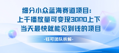 小众蓝海赛道项目：当天变现1k+适合新手操作 +适合长期玩-余宽网创