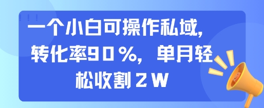 一个小白可操作私域，转化率90%，单月轻松收割2W-余宽网创