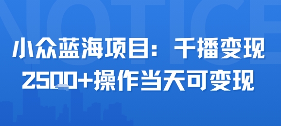 小众蓝海项目，千播变现2.5k+操作当天可变现-余宽网创