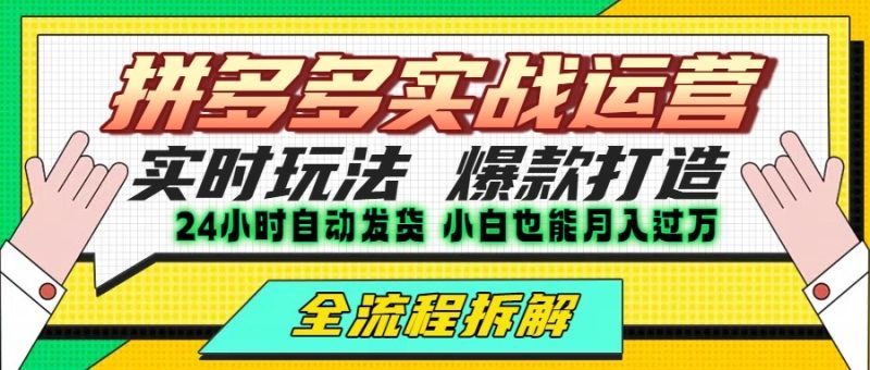 拼多多最新实战运营高投产:长久稳定项目,单店利润一天三位数-余宽网创