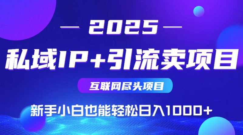 2025网创尽头项目,私域IP+引流,新手小白也能在家日入1000+-余宽网创