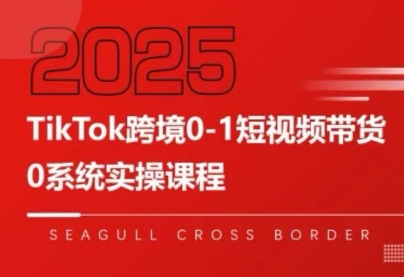 大亿老师·TikTok跨境0-1短视频带货-佐思网 - 免费PHP网站源码模板插件软件网课资源分享平台！