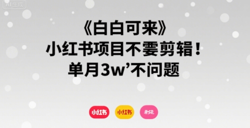 小白可来 小红书项目不需要剪辑 单月3w不是问题-佐思网 - 免费PHP网站源码模板插件软件网课资源分享平台！