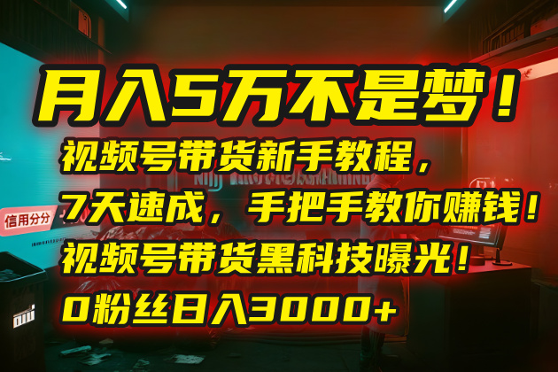月入5万不是梦！视频号带货新手教程，7天速成，手把手教你赚钱！视频号…-佐思网 - 免费PHP网站源码模板插件软件网课资源分享平台！