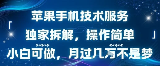 苹果手机技术服务，独家拆解，操作简单，小白可做，月过1W不是梦-佐思网 - 免费PHP网站源码模板插件软件网课资源分享平台！