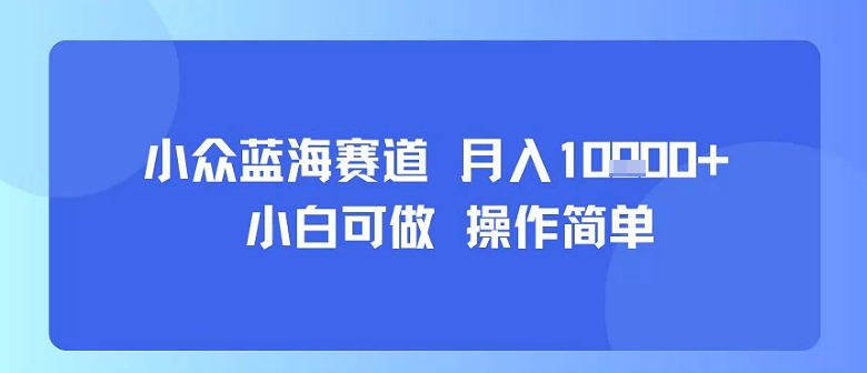 小众蓝海赛道，小白可做，操作简单，每天30分钟，月入1W+-佐思网 - 免费PHP网站源码模板插件软件网课资源分享平台！