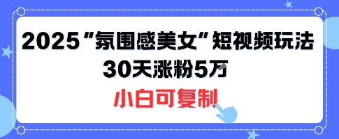 不露脸也能火！2025“氛围感美女”短视频玩法，30天涨粉5W小白可复制-余宽网创