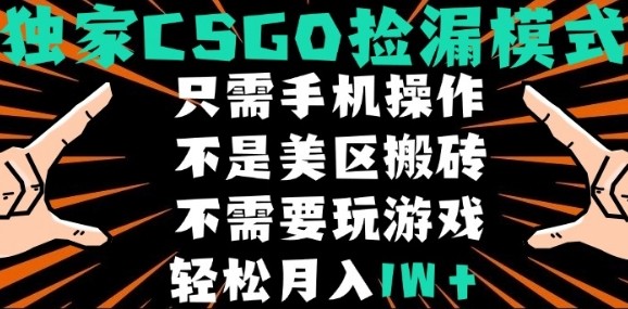 CSGO自动捡漏项目，最新独家玩法，不是美区搬砖，不需要了解和玩游戏，新手小白轻松月入1W+【揭秘】-佐思源码网下载-网站源码与App源码分享