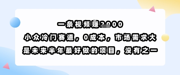 一条视频挣1k，小众冷门赛道，0成本，市场需求大，是未来半年最好做的项目，没有之一-佐思源码网下载-网站源码与App源码分享