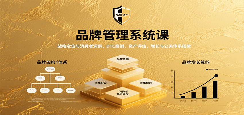品牌管理系统课：战略定位与消费者洞察，DTC案例、资产评估，增长与公关体系搭建-佐思源码网下载-网站源码与App源码分享