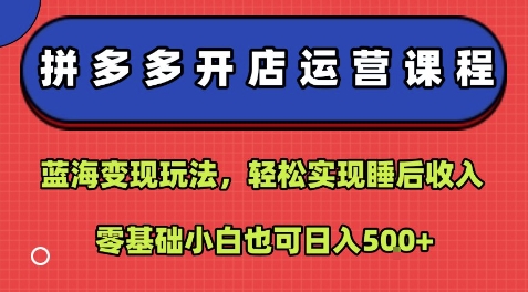拼多多开店运营课程：蓝海变现玩法，轻松实现睡后收入，零基础小白也可日入5张-佐思源码网下载-网站源码与App源码分享