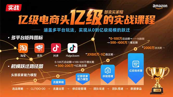 亿级电商头部卖家的实战课程：涵盖多平台玩法，实现从0到亿级规模的跃迁-清欢网创