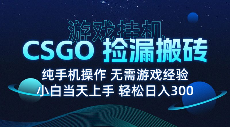 8月最新游戏搬砖,CSGO纯挂机,不需要玩游戏,实现真挂机,月入1W+-余宽网创