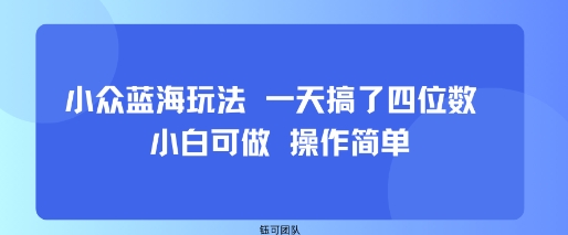 小众蓝海玩法 一天搞了四位数 小白可做 操作简单-余宽网创