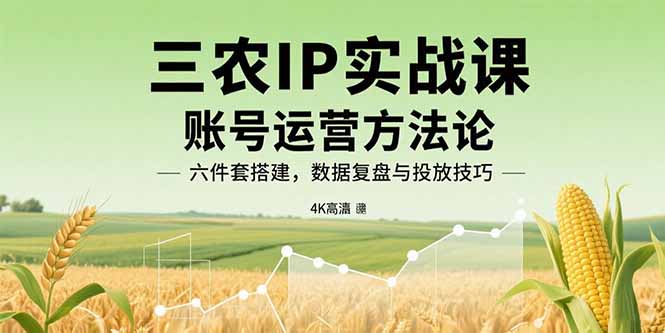三农IP实战课：账号运营方法论，六件套搭建，数据复盘与投放技巧-余宽网创