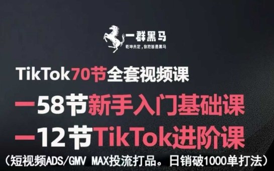 TikTok全套视频课，新手入门+进阶课，短视频ADS-GMV MAX投流打品，日销破1000单打法-梦痕小札
