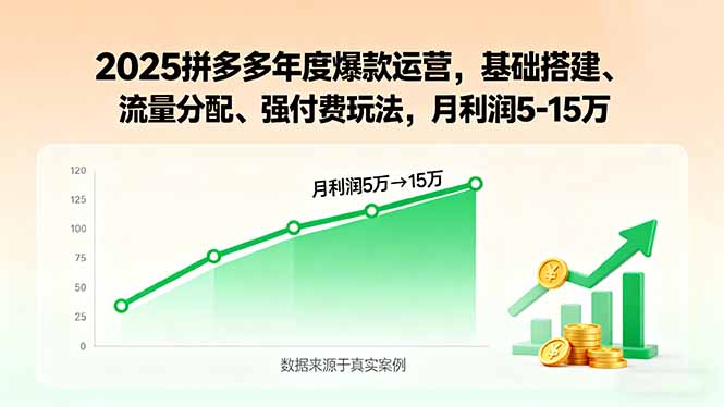 2025拼多多年度爆款运营，基础搭建、流量分配、强付费玩法，月利润5-15万-梦痕小札