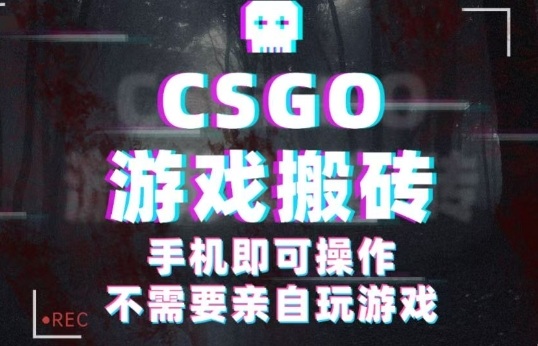 CSGO游戏挂G捡漏，单日扫货5张+，年底小高峰上车可吃肉，手机即可操作，兼职副业创业网创【揭秘】-佐思资源网下载-专注于互联网平台分享平台