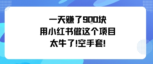 一天挣了9张用小红书做这个项目太牛了，空手套-佐思资源网下载-专注于互联网平台分享平台