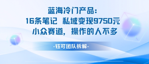 蓝海项目：16条笔记私域变现9750米小众赛道操作的人不多-佐思资源网下载-专注于互联网平台分享平台