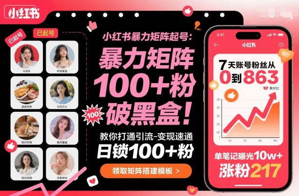 小红书暴力矩阵起号，教你打通引流-变现速通，日锁100+粉，破流量黑盒-佐思资源网下载-专注于互联网平台分享平台