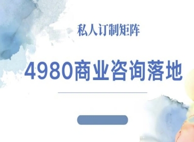 4980商业咨询师落地课程-ip运营高客单教程-佐思资源网下载-专注于互联网平台分享平台
