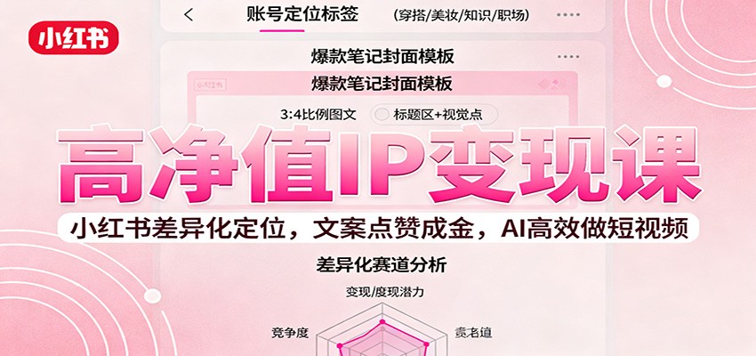 高净值IP变现课：小红书差异化定位，文案点赞成金， AI高效做短视频-佐思资源网下载-专注于互联网平台分享平台