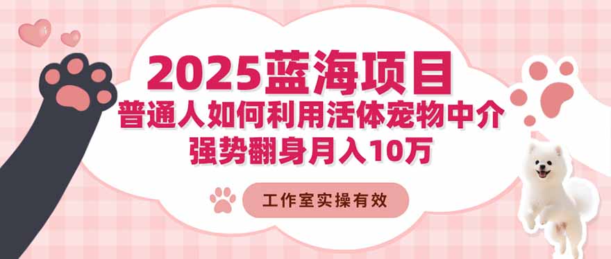 2025蓝海项目：普通人如何利用活体宠物中介，强势翻身月入10万-白蛇网赚-佐思资源网下载-专注于互联网平台分享平台