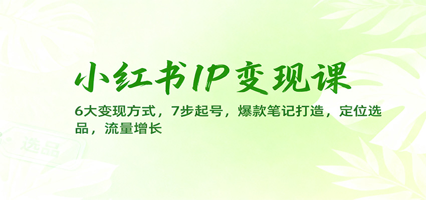 小红书IP变现课：6大变现方式，7步起号，爆款笔记打造，定位选品，流量增长-白蛇网赚-佐思资源网下载-专注于互联网平台分享平台