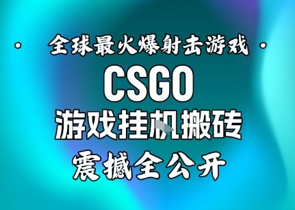 【年底大揭秘】基于全球最火爆的射击CSGO游戏挂G搬砖，日入5张+，震撼公开-白蛇网赚-佐思资源网下载-专注于互联网平台分享平台