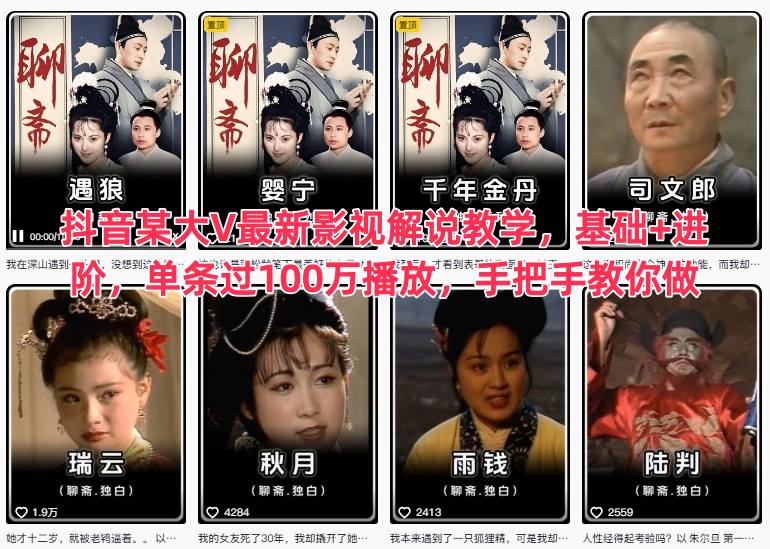 抖音某大V最新影视解说教学，基础+进阶，单条过100万播放，手把手教你做-白蛇网赚-佐思资源网下载-专注于互联网平台分享平台