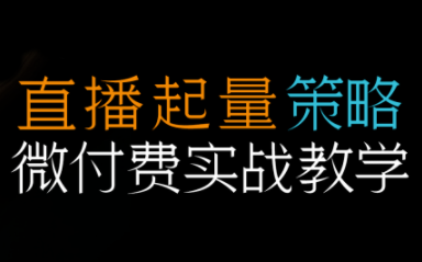 半野老师·直播带货起量与微付费必学课视频号-白蛇网赚-佐思资源网下载-专注于互联网平台分享平台