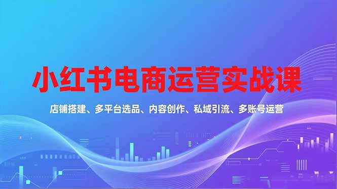 小红书电商运营实战课，店铺搭建、多平台选品、内容创作、私域引流、多账号运营等玩法-白蛇网赚-佐思资源网下载-专注于互联网平台分享平台