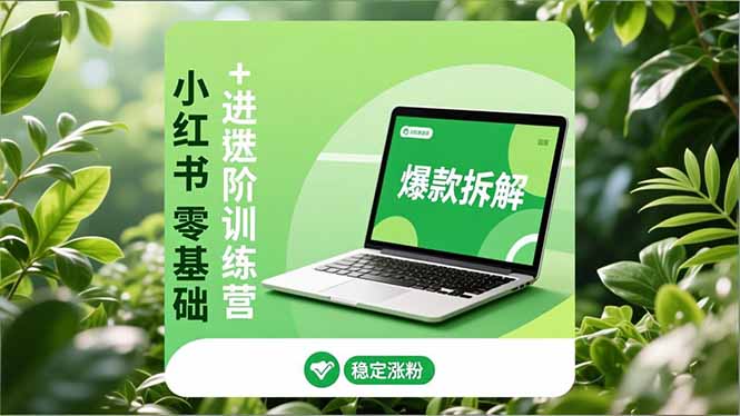 小红书零基础+高阶训练营：安全养号、爆款拆解、长效运营，实现稳定涨粉与变现-白蛇网赚-余宽网创