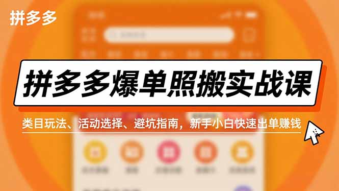 拼多多爆单照搬实战课，类目玩法、活动选择、避坑指南，新手小白快速出单赚钱-白蛇网赚-
