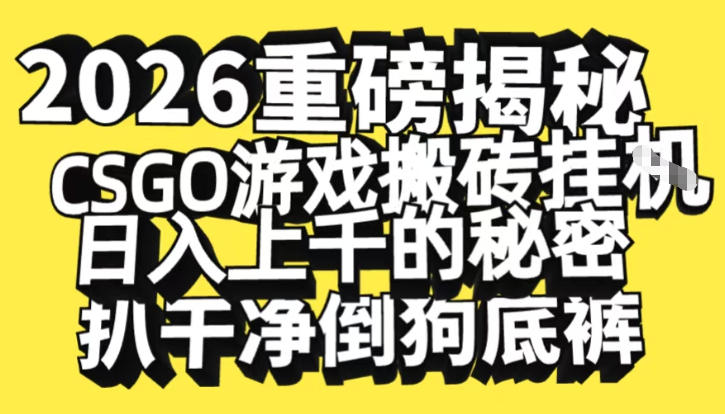 2026开年重磅解密，CSGO游戏搬砖挂G日入1k+的秘密，把倒狗的底裤扒干【揭秘】-白蛇网赚-余宽网创