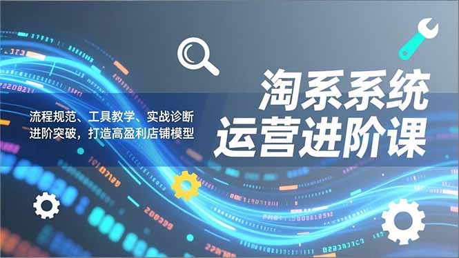 淘系系统运营进阶课2.0，流程规范、工具教学、实战诊断，进阶突破，打造高盈利店铺模型-白蛇网赚-余宽网创