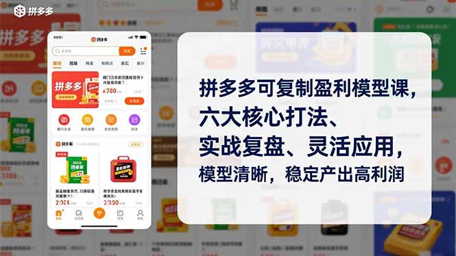 拼多多可复制盈利模型课，六大核心打法、实战复盘、灵活应用，模型清晰，稳定产出高利润-白蛇网赚-余宽网创