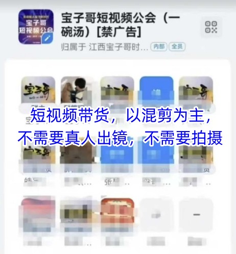 宝子哥头部团队短视频带货，以混剪为主，不需要真人出镜，不需要拍摄【更新12月】-白蛇网赚-