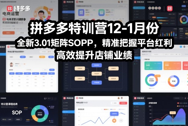 拼多多特训营12-1月份，全新3.01矩阵Sop，精准把握平台红利，高效提升店铺业绩-白蛇网赚-余宽网创