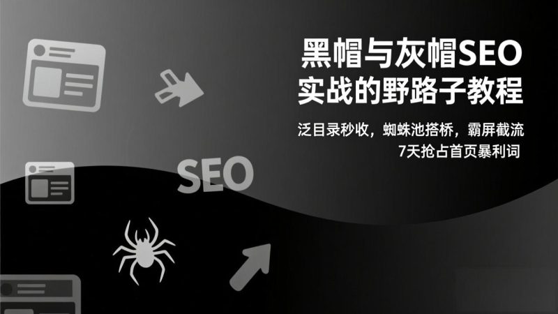 黑帽与灰帽SEO实战的野路子教程：泛目录秒收，蜘蛛池搭桥，霸屏截流，7天抢占首页暴利词-白蛇网赚-余宽网创